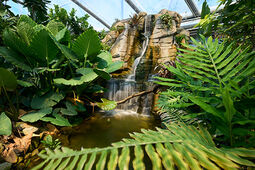 Tropische Anlage in der Meranti-Halle mit Wasserfall und Wasserbecken